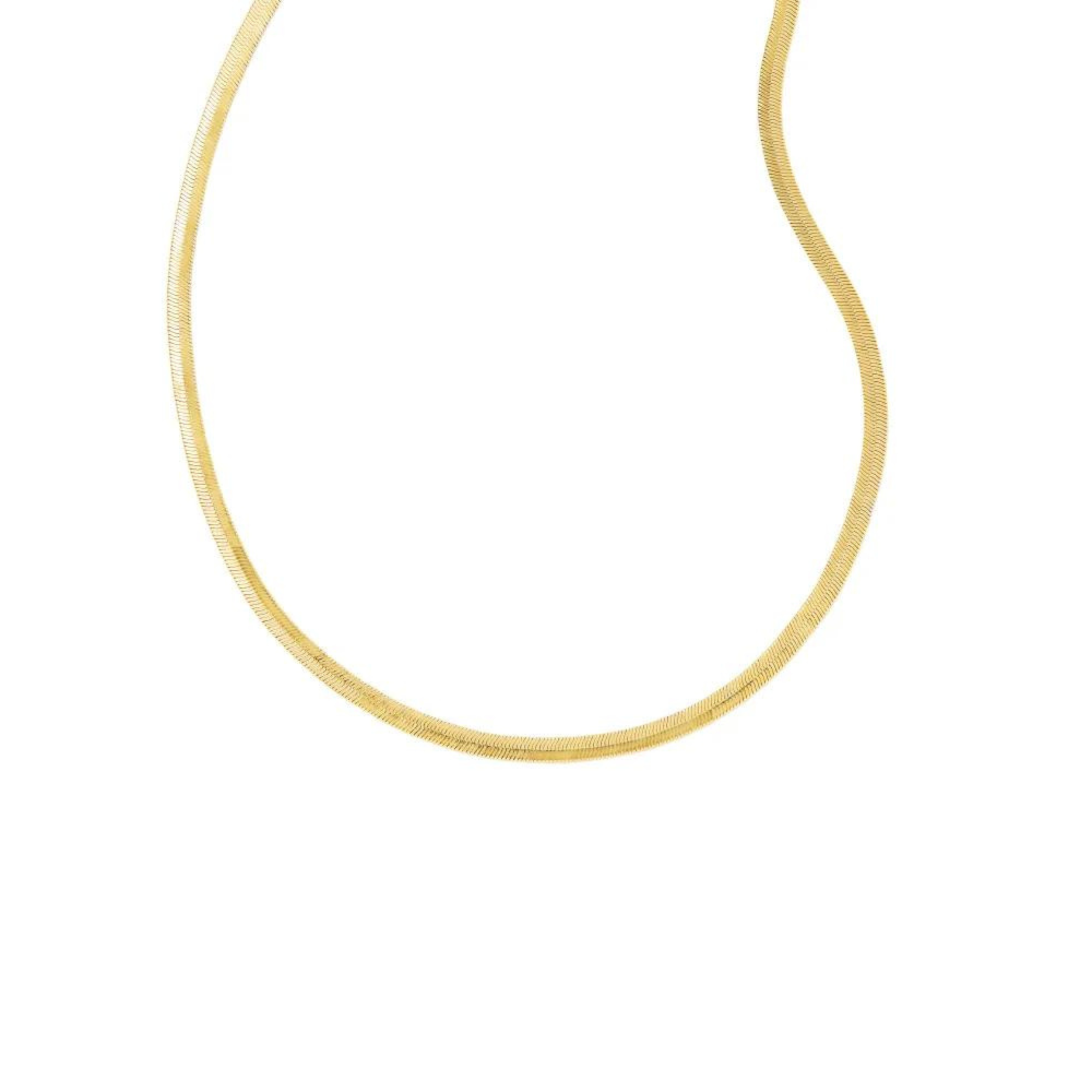Pictured is a gold snake chain necklace on a white background.