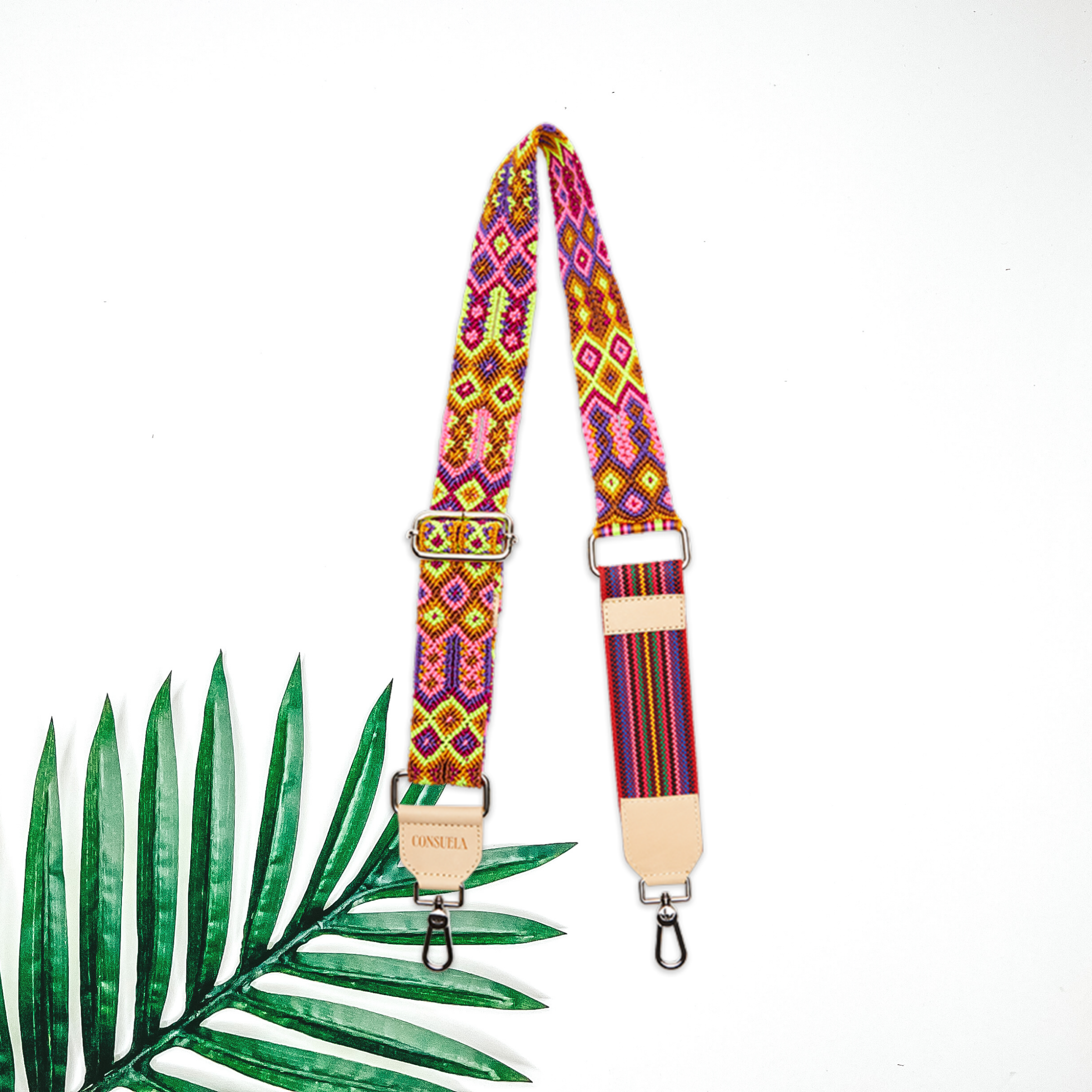 Centered in the picture is a multi colored purse strap. A palm leaf is to the left of the strap and the background is white. 