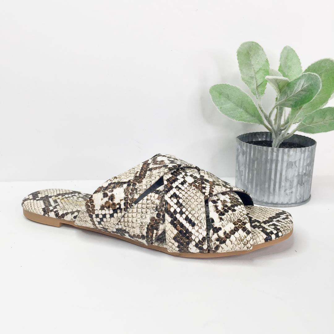 Wild At Heart Slide on Sandals in Snakeskin - Giddy Up Glamour Boutique