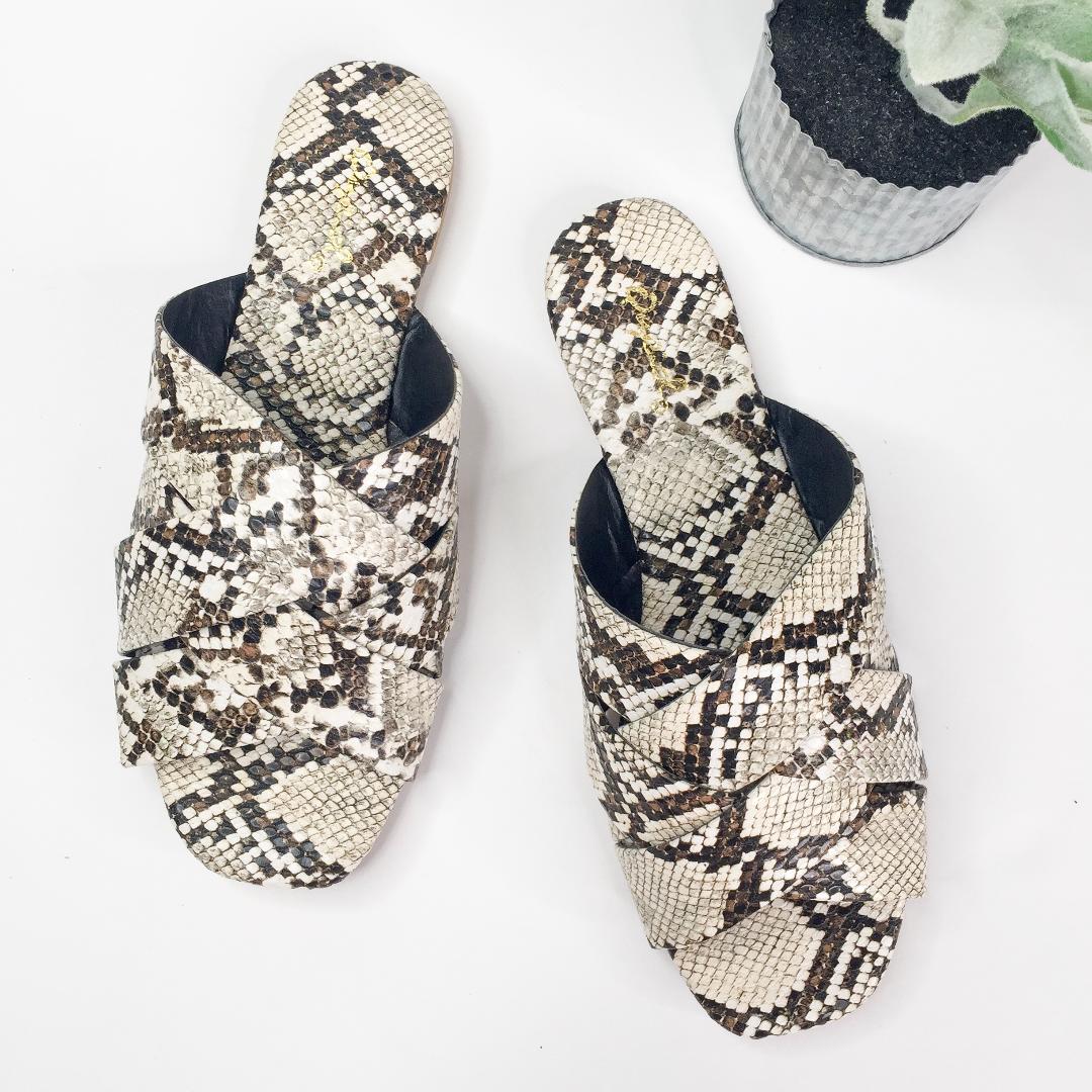 Wild At Heart Slide on Sandals in Snakeskin - Giddy Up Glamour Boutique