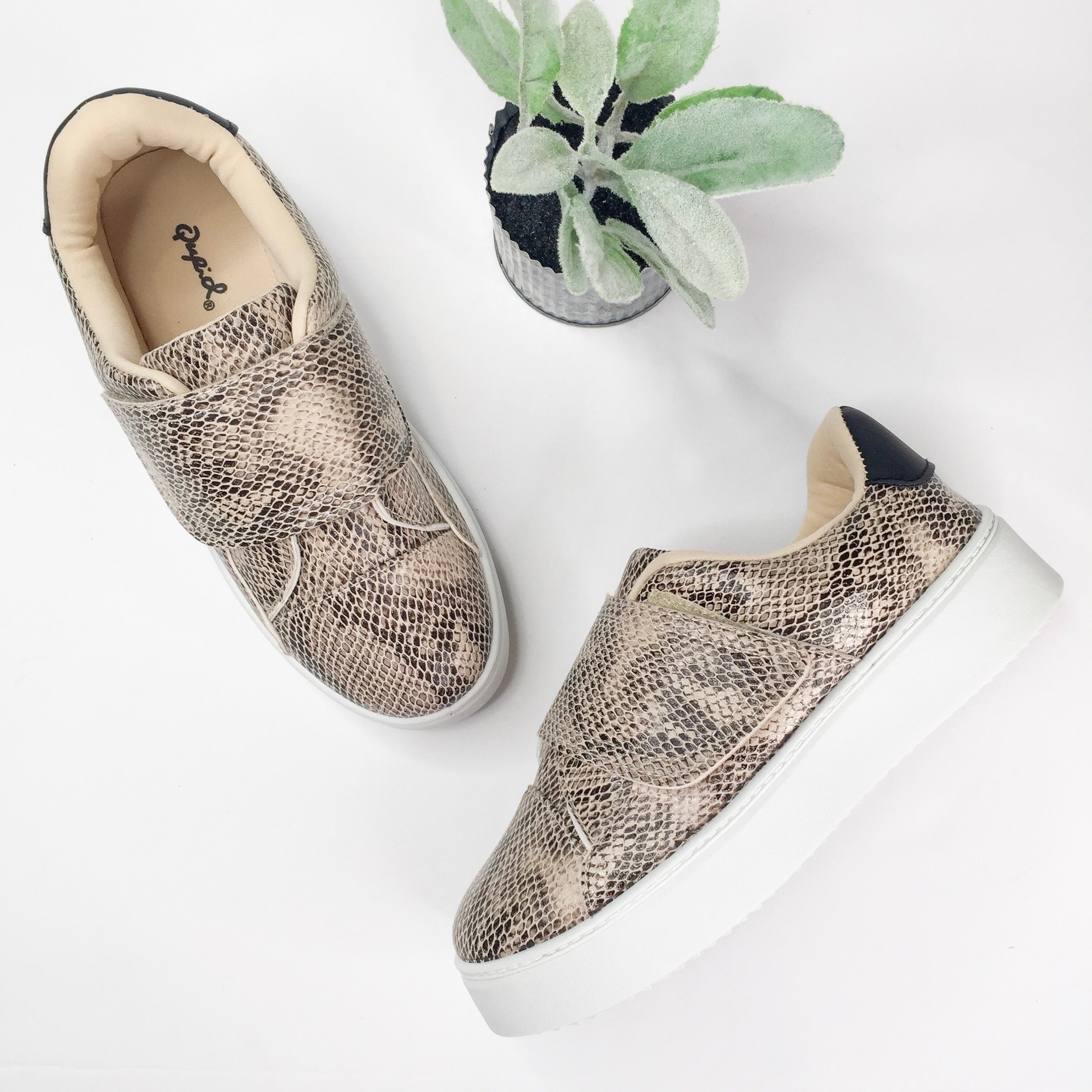 Last Chance Size 6 & 7 | Don't Be Moody Snakeskin Velcro Platform Sneakers - Giddy Up Glamour Boutique