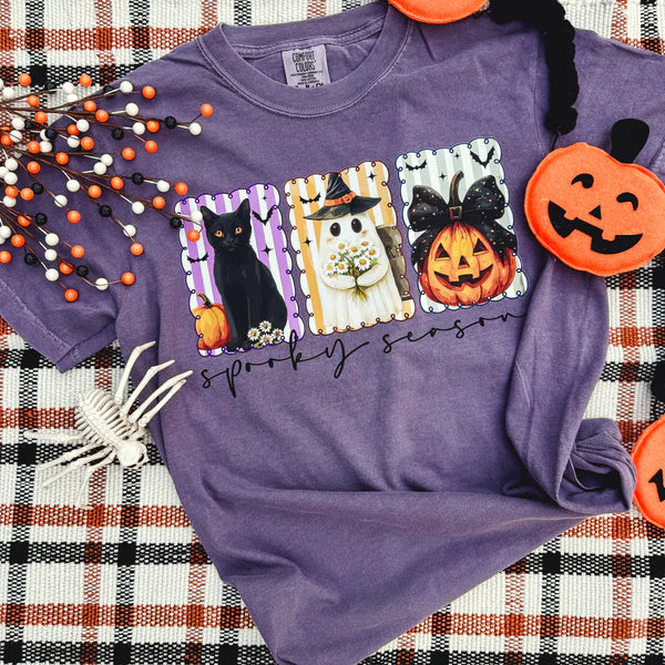 Online Exclusive | Spooky Season Stripes Graphic on Short Sleeve Comfort Color Tee in Grape Purple