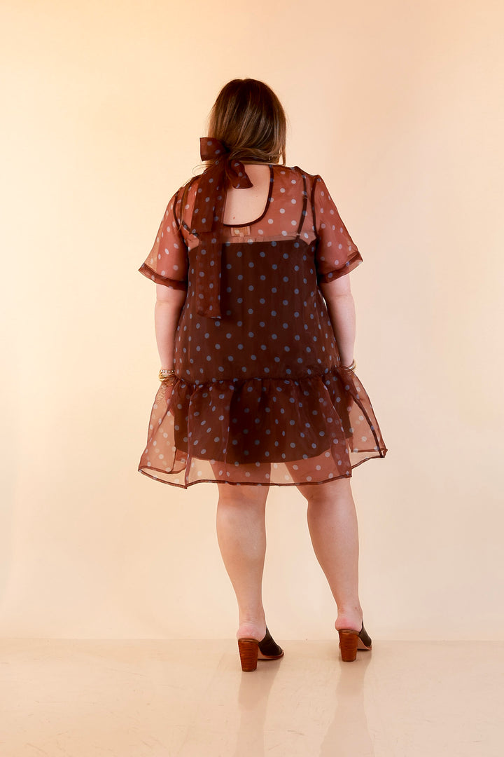 Sheer Delight Polka Dot Organza Ruffle Hem Dress in Chocolate Brown and Blue