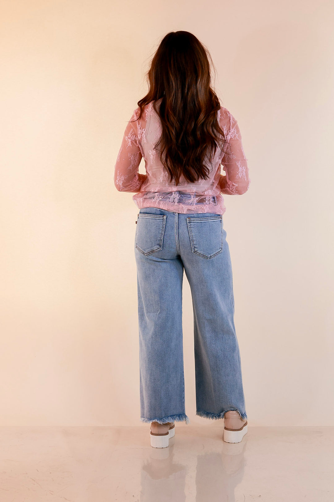Delicate Charm Long Sleeve Sheer Lace Top with Mock Neck in Pale Pink