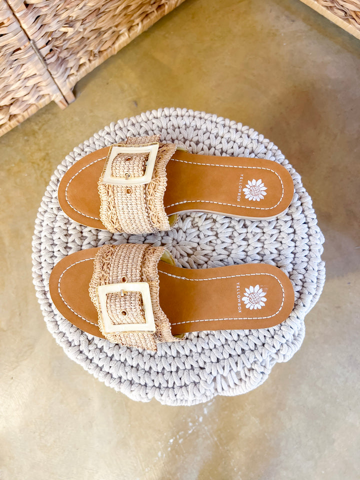 Yellow Box | Hamlyn Raffia Buckle Slide Sandals in Natural