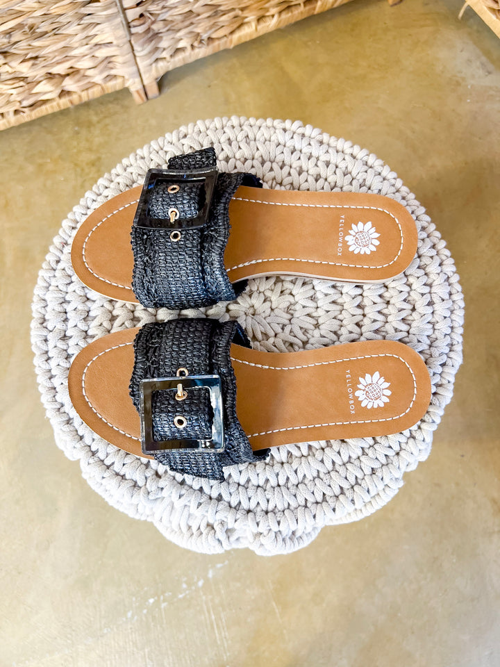 Yellow Box | Hamlyn Raffia Buckle Slide Sandals in Black