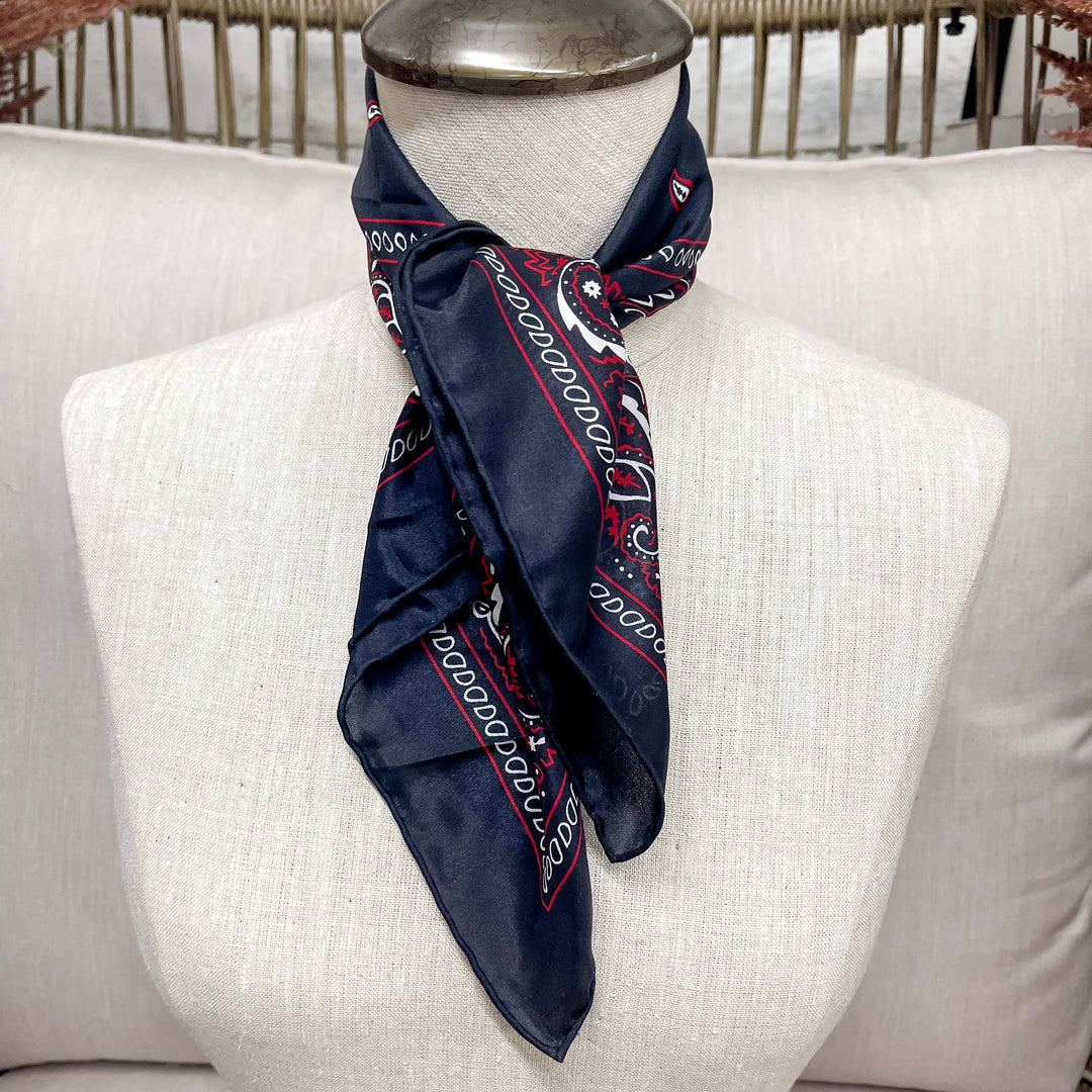 Wyoming Traders | Bandana Silk Wild Rag in Black
