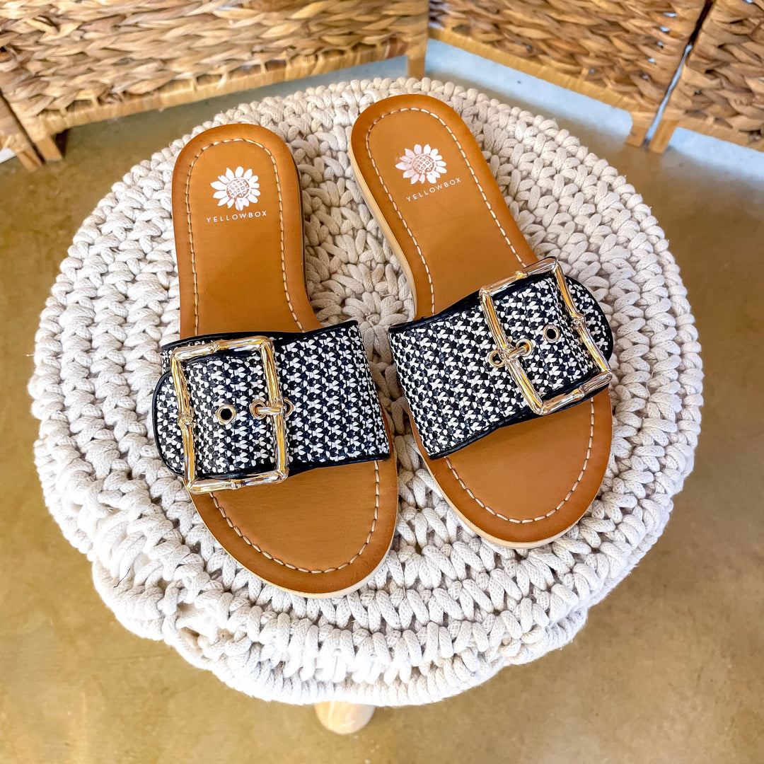 Yellow Box | Helden Slide Sandal in Black