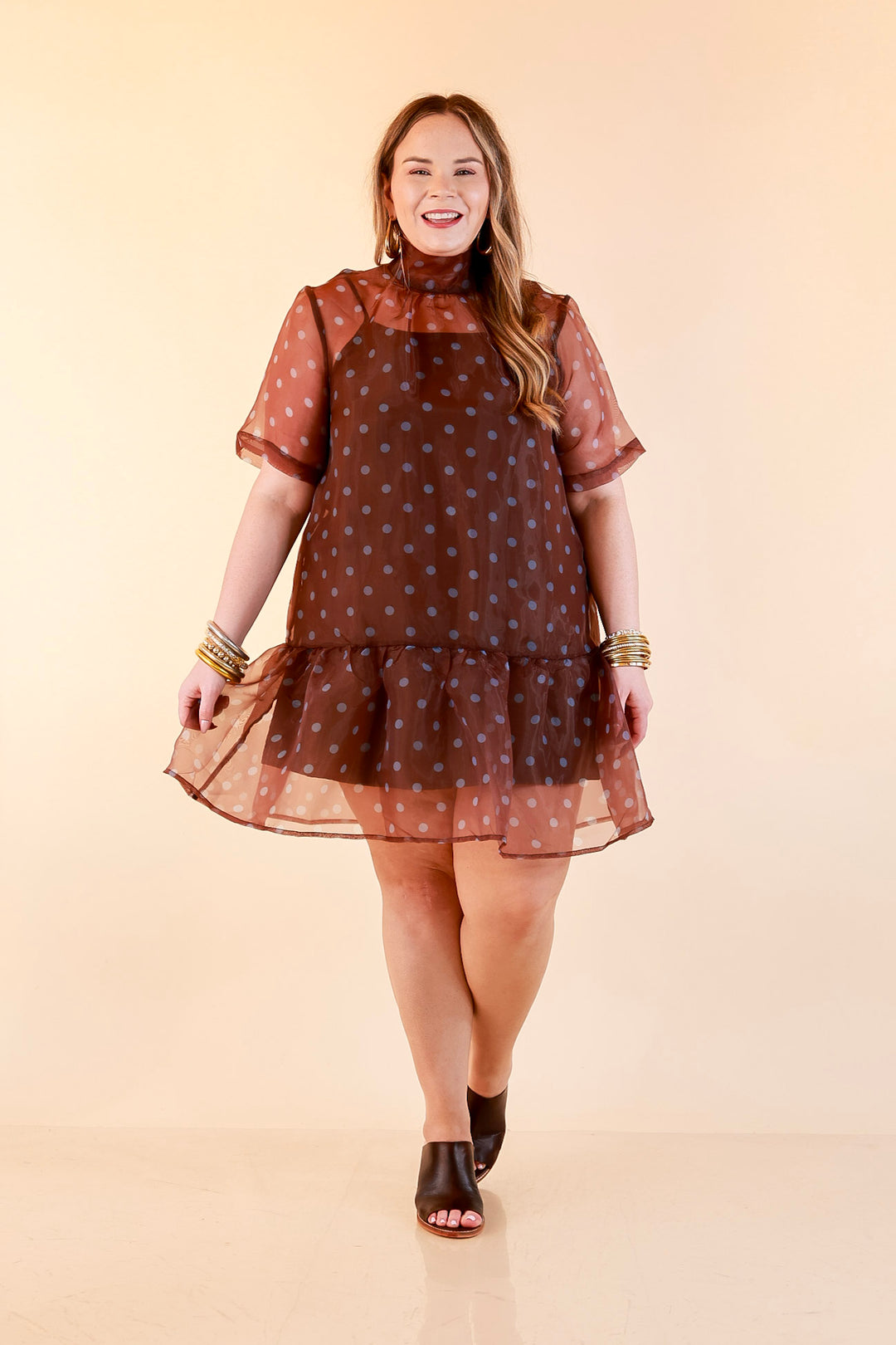 Sheer Delight Polka Dot Organza Ruffle Hem Dress in Chocolate Brown and Blue