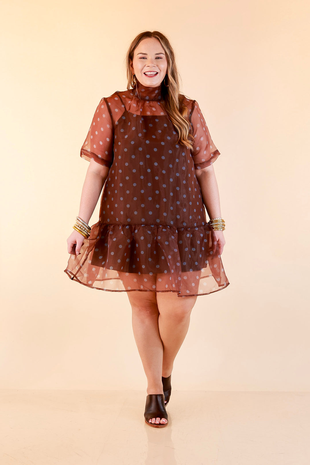 Sheer Delight Polka Dot Organza Ruffle Hem Dress in Chocolate Brown and Blue