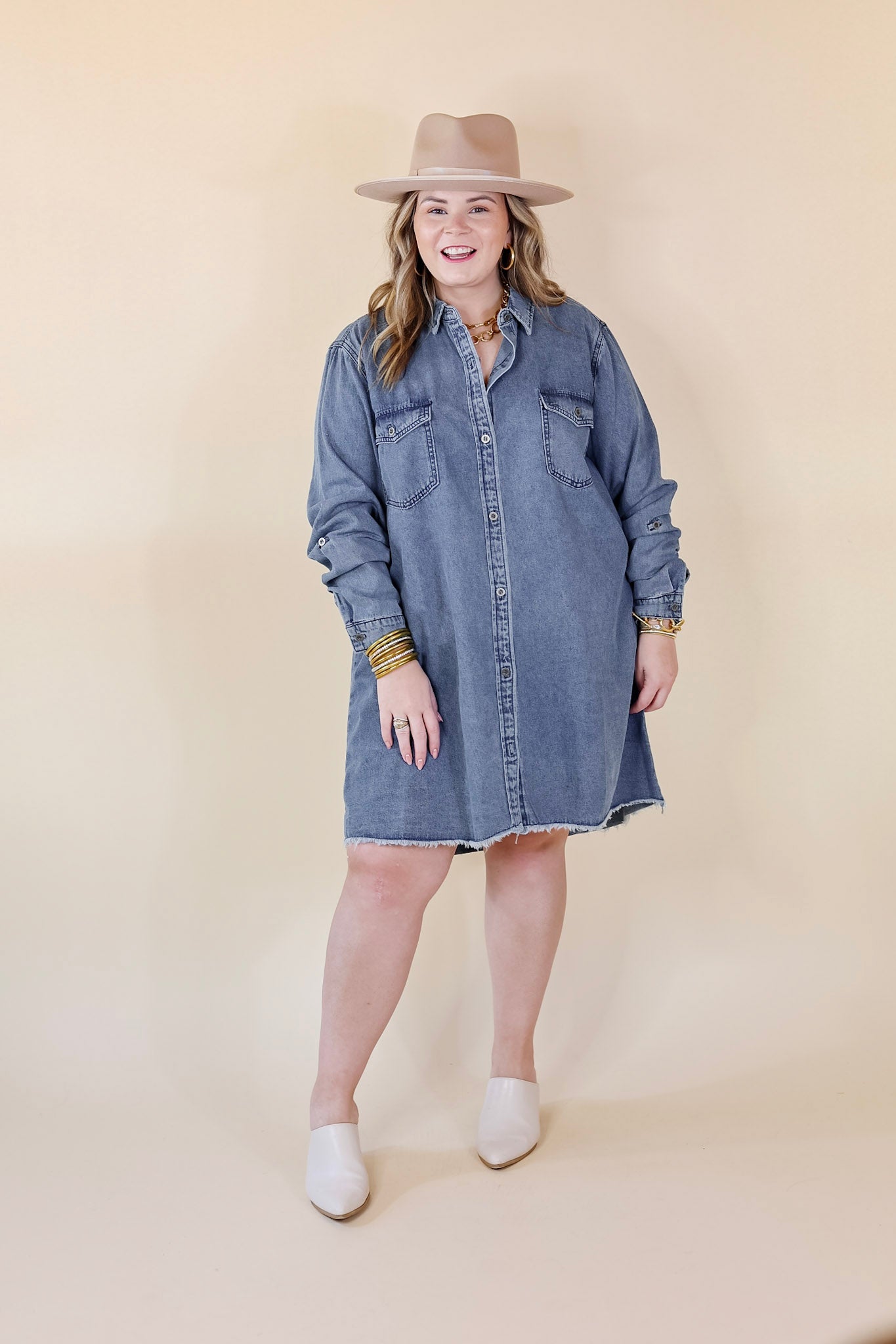 Patio Date Button Up Long Sleeve Denim Dress in Medium Wash