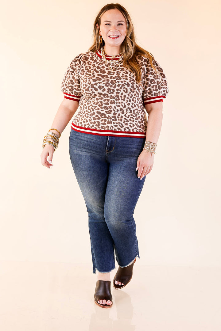 Feline Fine Leopard Print Short Sleeve Sweater with Contrast Trim in Maroon