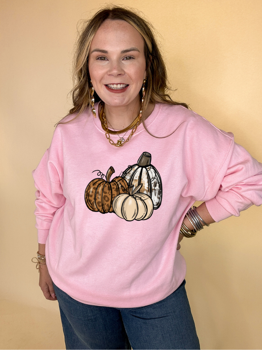 Online Exclusive | Trio Fall Variety Pumpkins Graphic Sweatshirt in Multiple Color Options