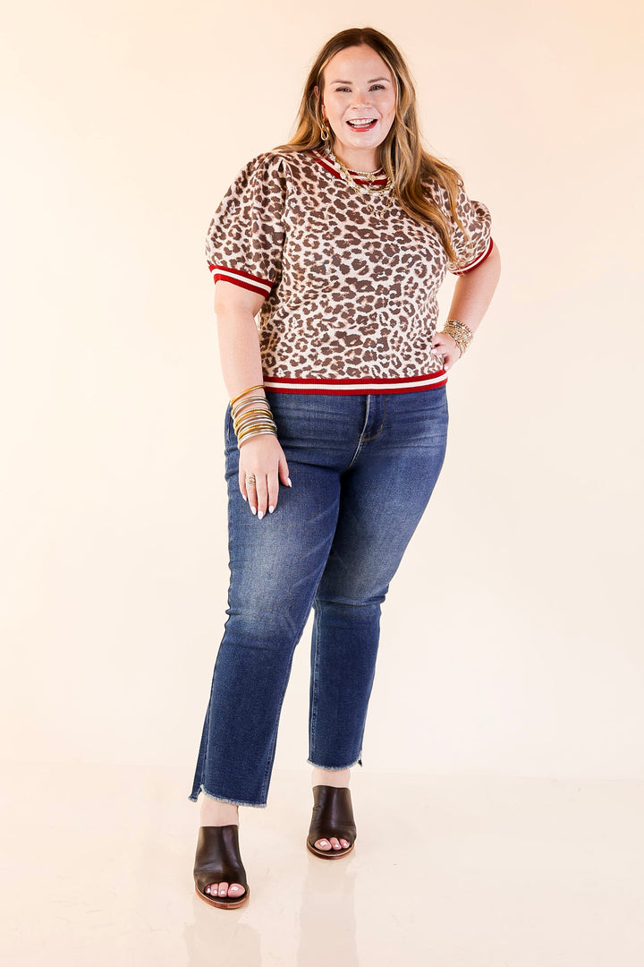 Feline Fine Leopard Print Short Sleeve Sweater with Contrast Trim in Maroon
