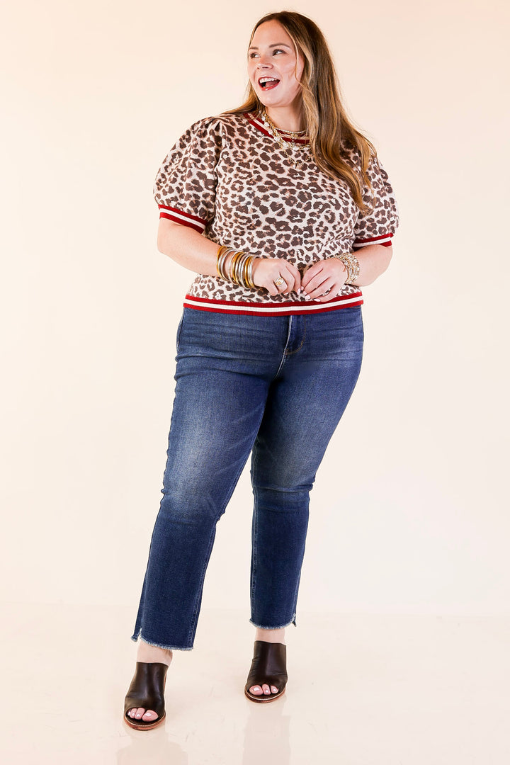 Feline Fine Leopard Print Short Sleeve Sweater with Contrast Trim in Maroon