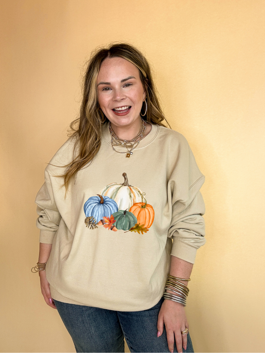 Online Exclusive | Country Pumpkin Arrangement of Four Colored Pumpkins Graphic Sweatshirt in Multiple Color Options