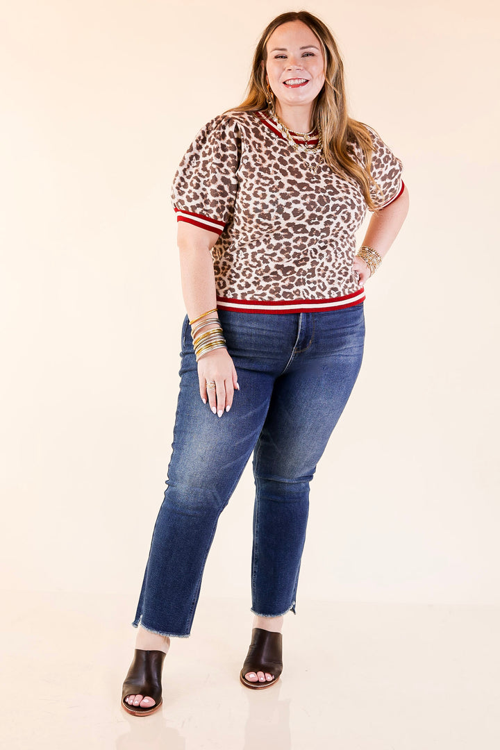 Feline Fine Leopard Print Short Sleeve Sweater with Contrast Trim in Maroon