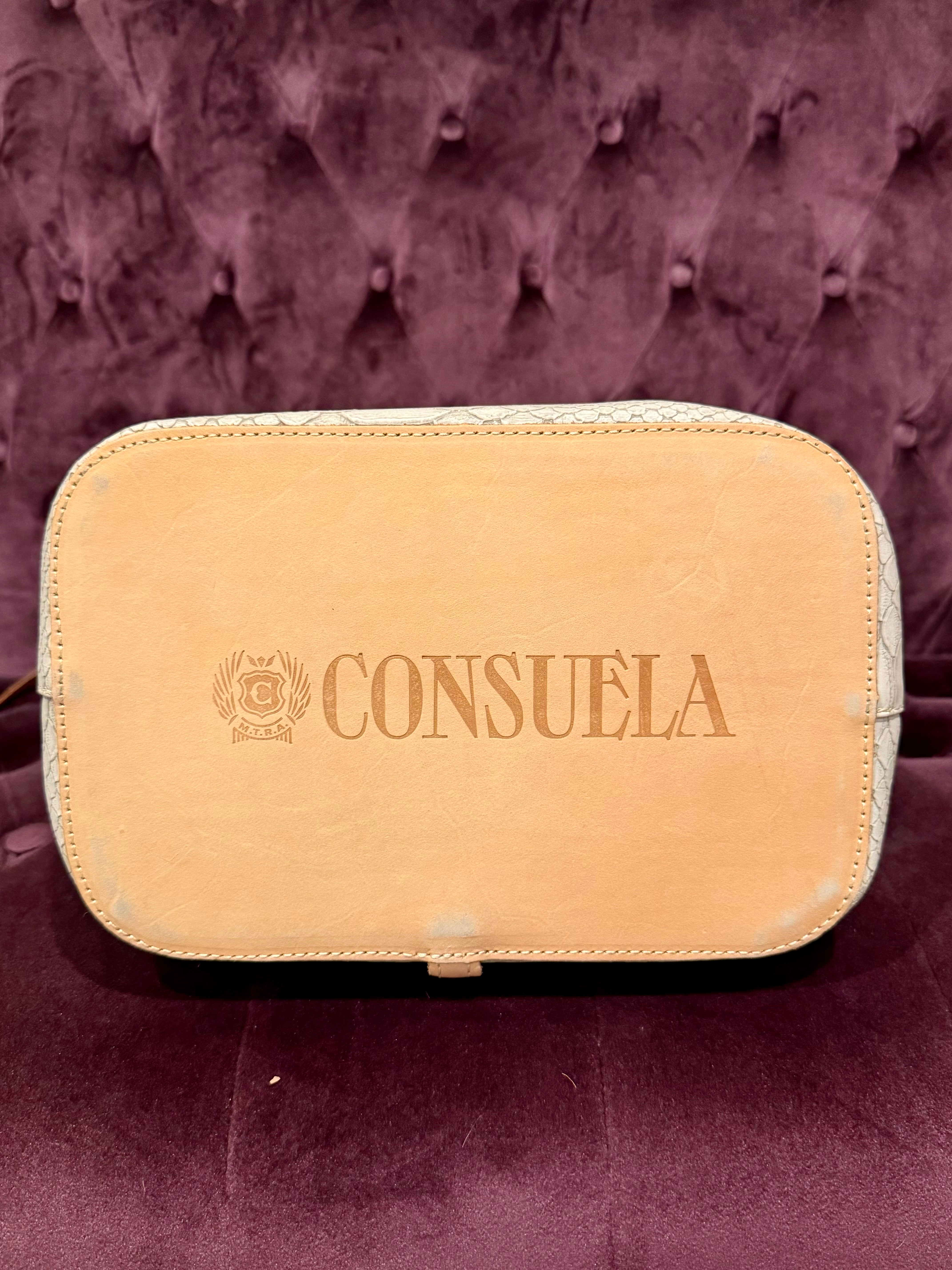 Blemished Consuela #2422 | Songbird Sling Bag • FINAL SALE