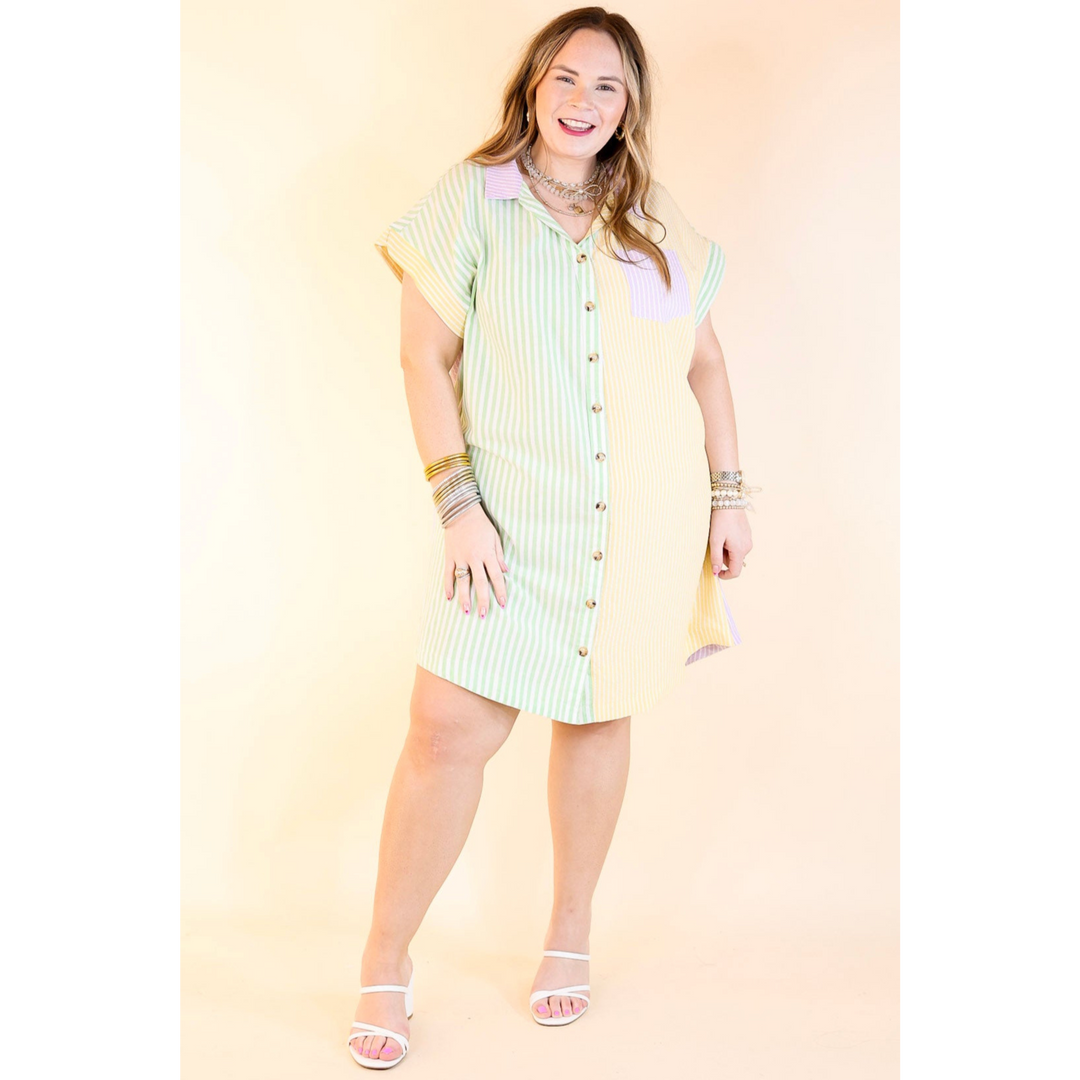 Seasonal Cruisin' Button Up Pinstripe Dress in Purple and Green