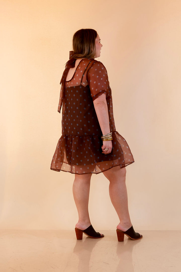 Sheer Delight Polka Dot Organza Ruffle Hem Dress in Chocolate Brown and Blue