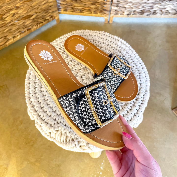 Yellow Box | Helden Slide Sandal in Black