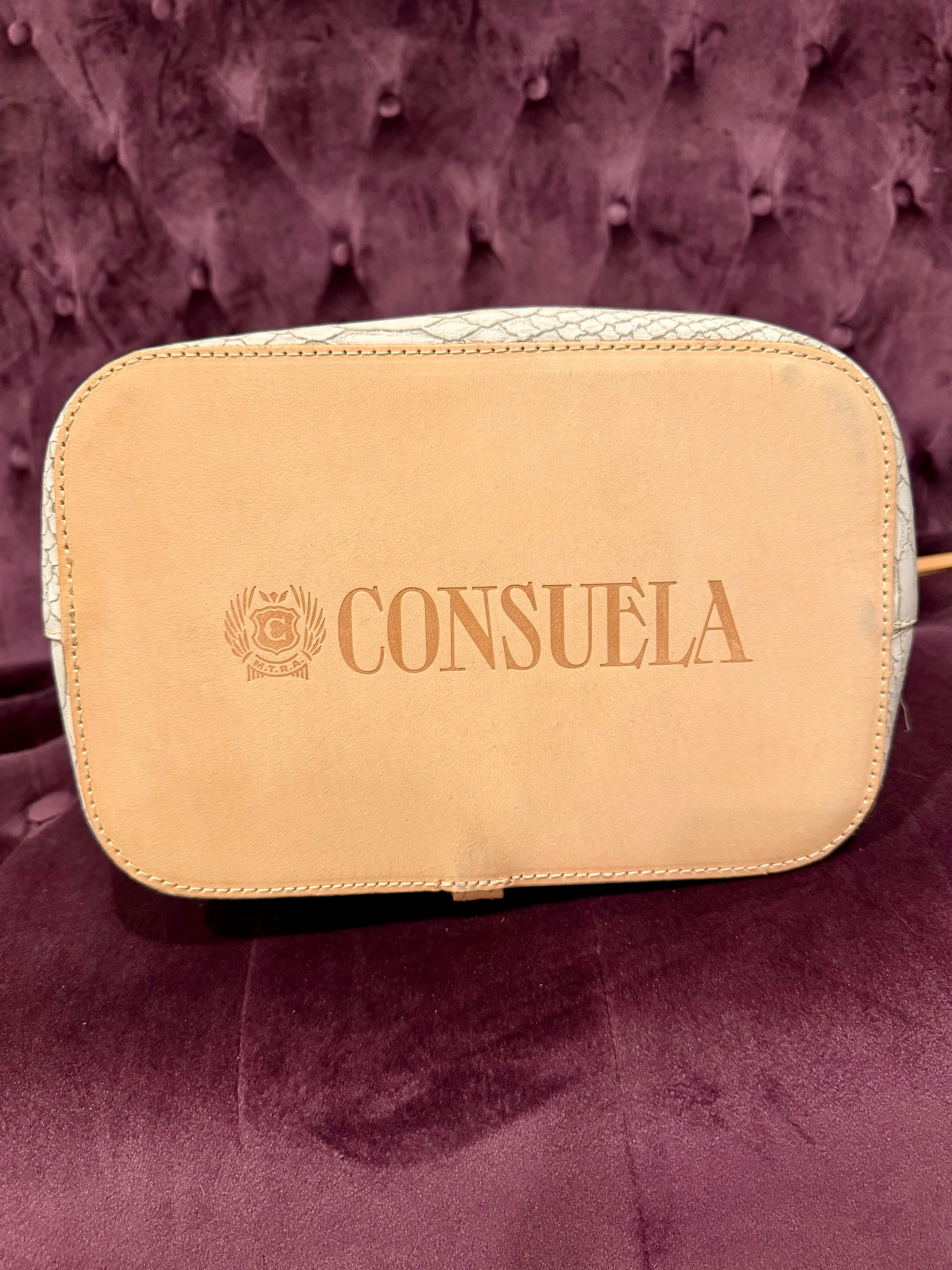 Blemished Consuela #2423 | Songbird Sling Bag • FINAL SALE