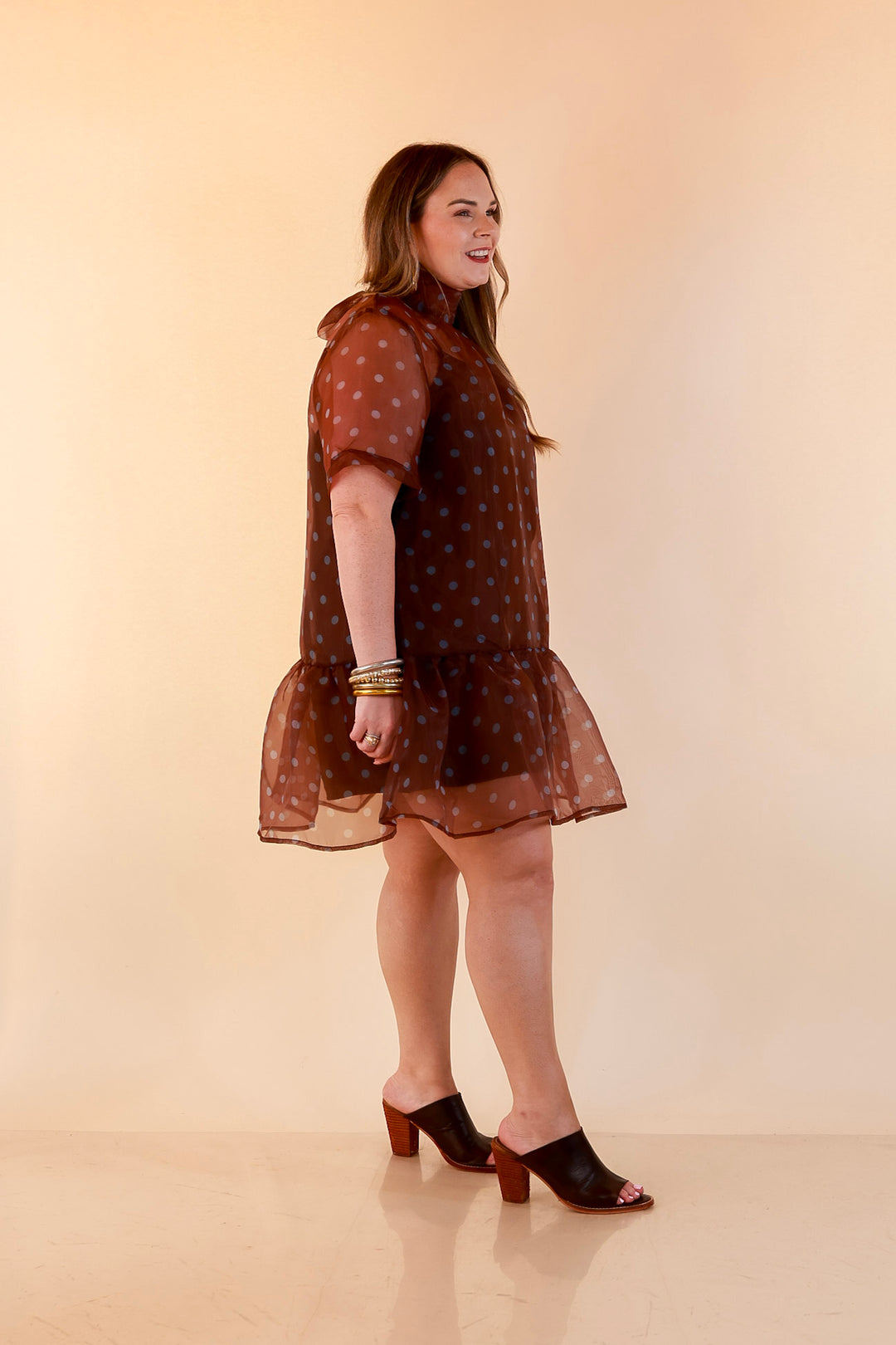 Sheer Delight Polka Dot Organza Ruffle Hem Dress in Chocolate Brown and Blue