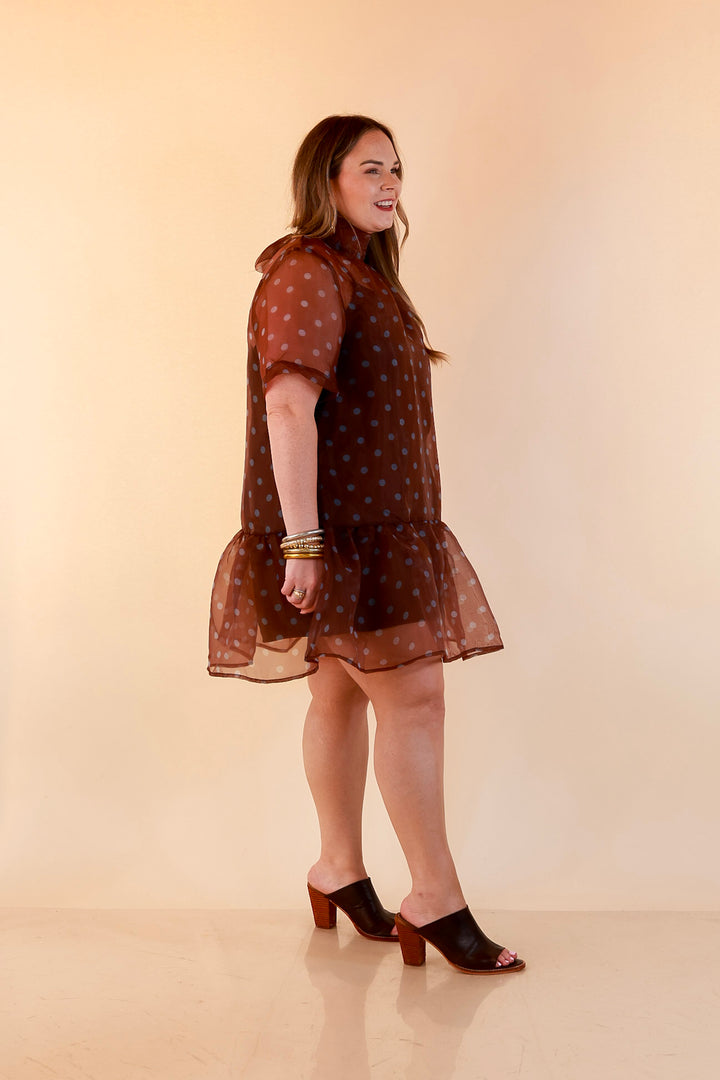 Sheer Delight Polka Dot Organza Ruffle Hem Dress in Chocolate Brown and Blue