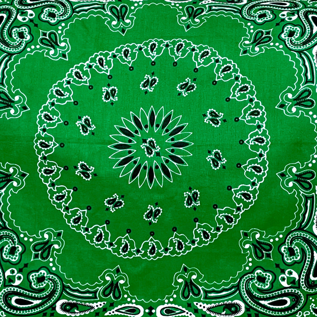 Lucky Embroidered Bandana in Green