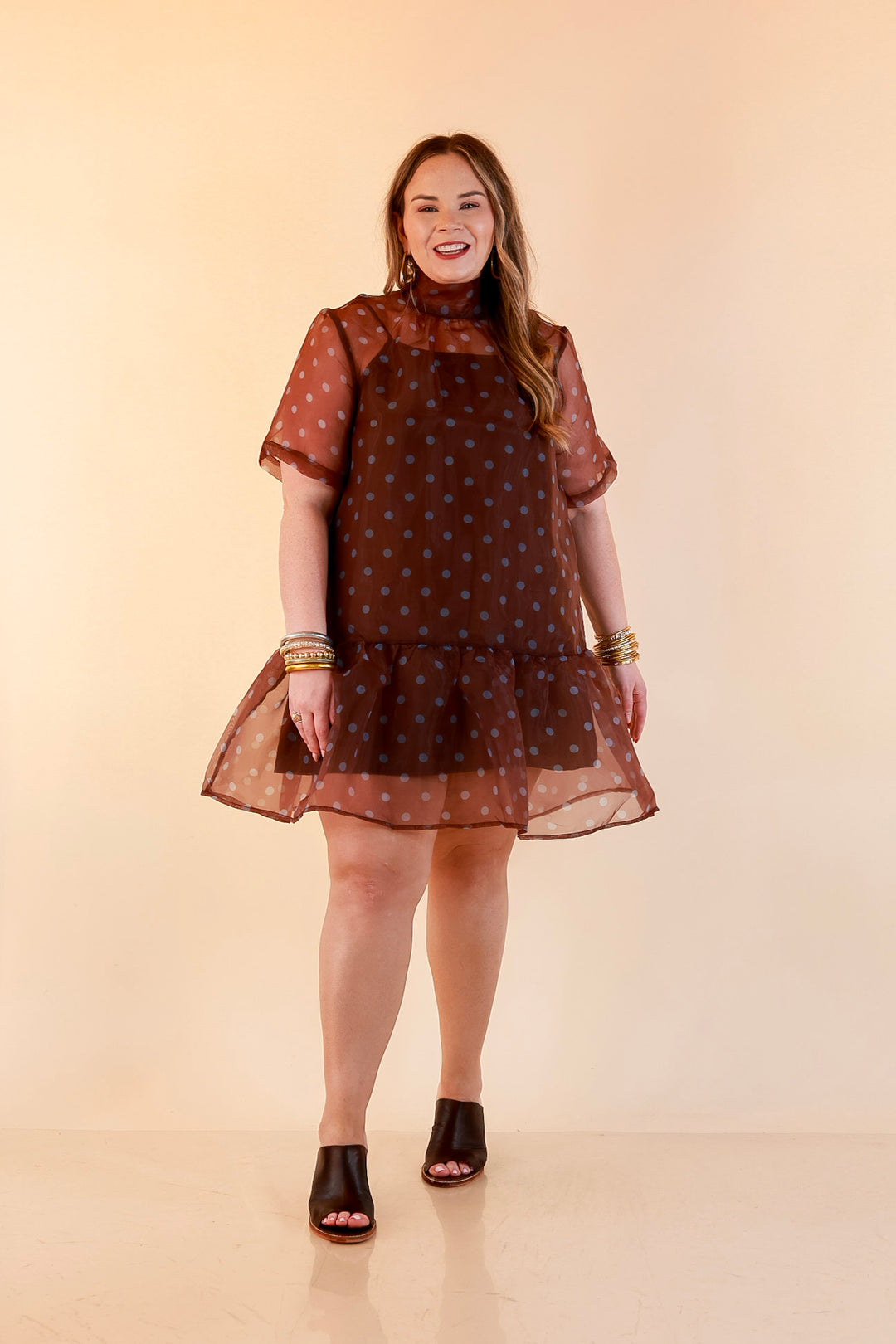 Sheer Delight Polka Dot Organza Ruffle Hem Dress in Chocolate Brown and Blue