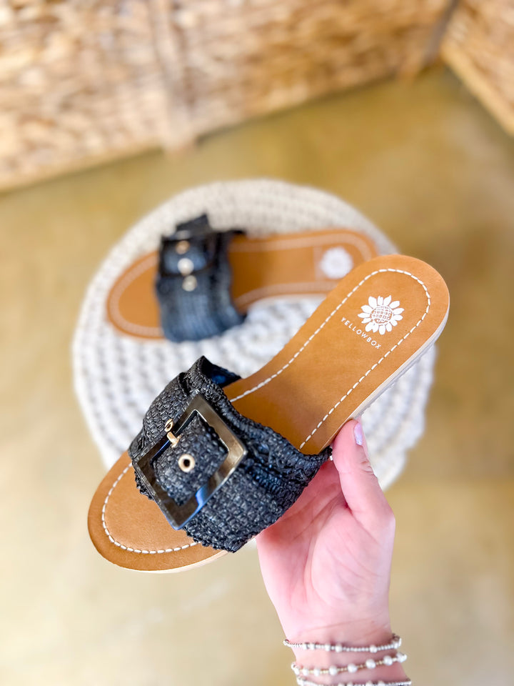 Yellow Box | Hamlyn Raffia Buckle Slide Sandals in Black