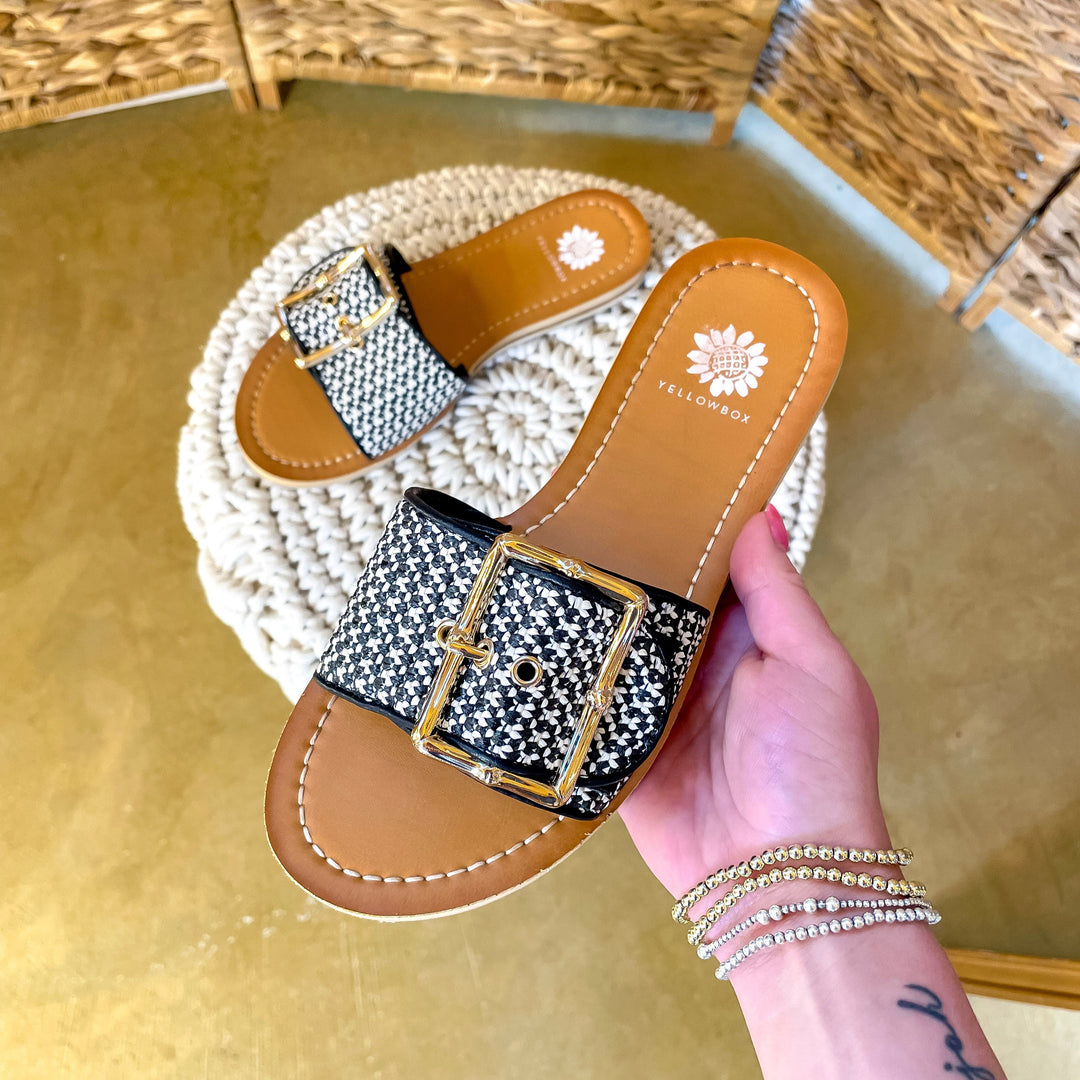 Yellow Box | Helden Slide Sandal in Black