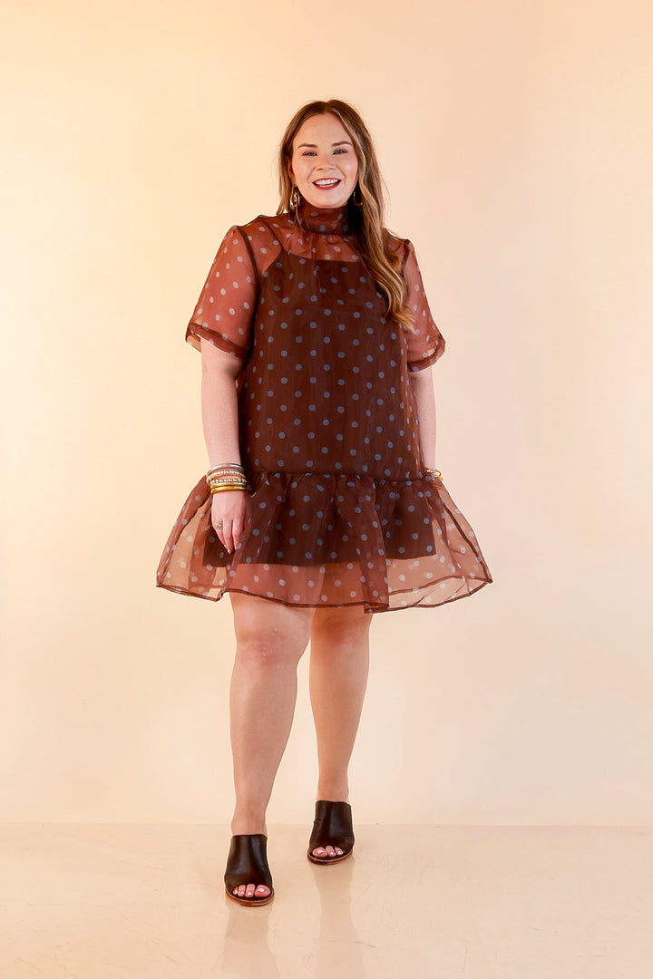 Sheer Delight Polka Dot Organza Ruffle Hem Dress in Chocolate Brown and Blue