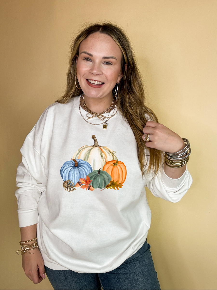 Online Exclusive | Country Pumpkin Arrangement of Four Colored Pumpkins Graphic Sweatshirt in Multiple Color Options