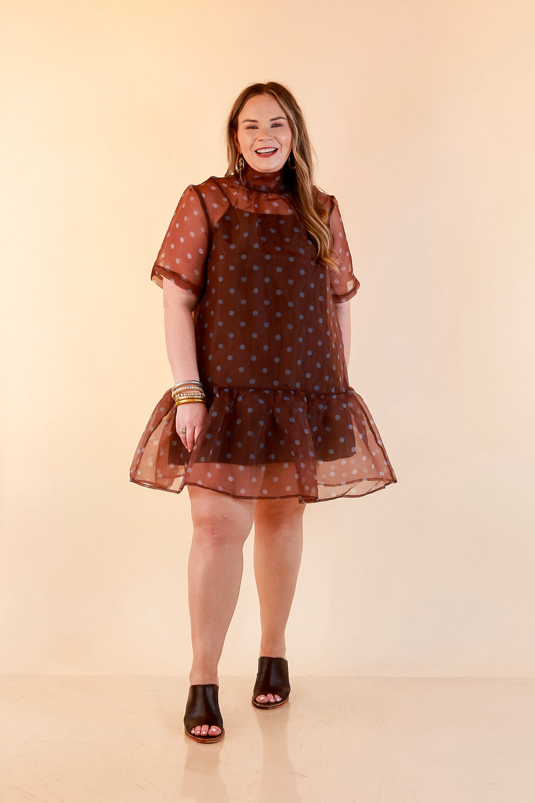 Sheer Delight Polka Dot Organza Ruffle Hem Dress in Chocolate Brown and Blue