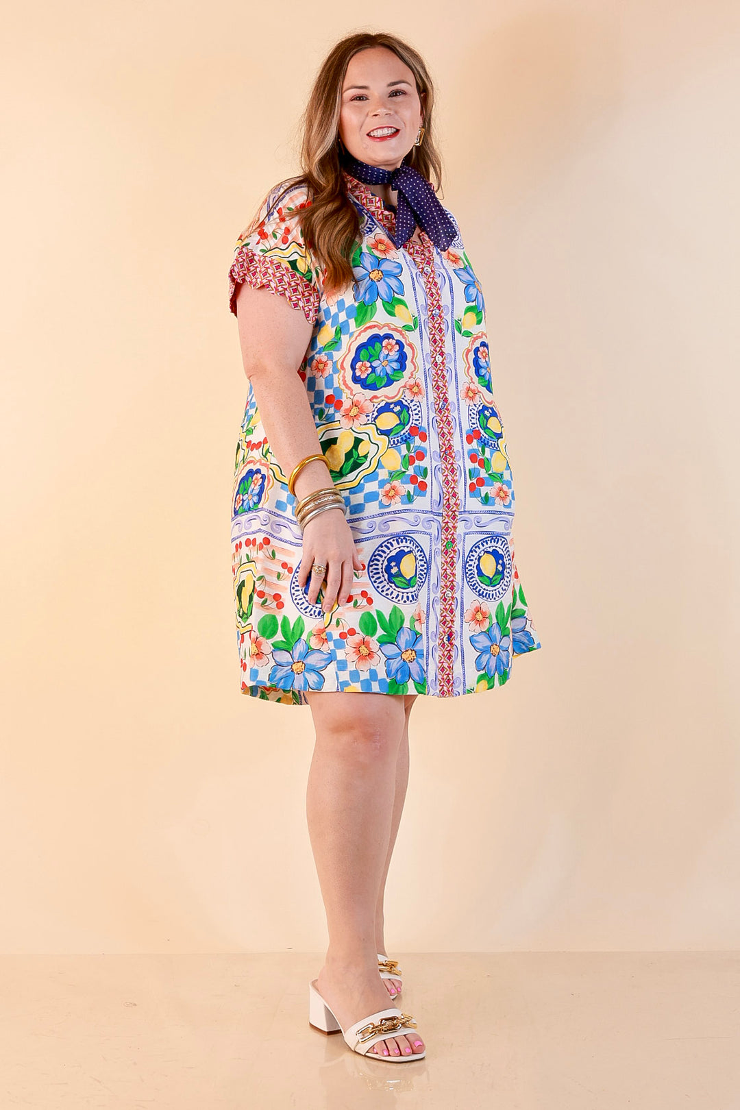 Tuscan Daydream Floral Border Print Button Front Mini Dress in Blue Multi