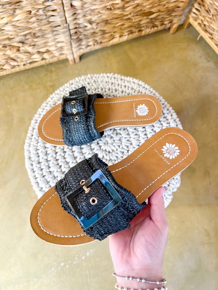 Yellow Box | Hamlyn Raffia Buckle Slide Sandals in Black