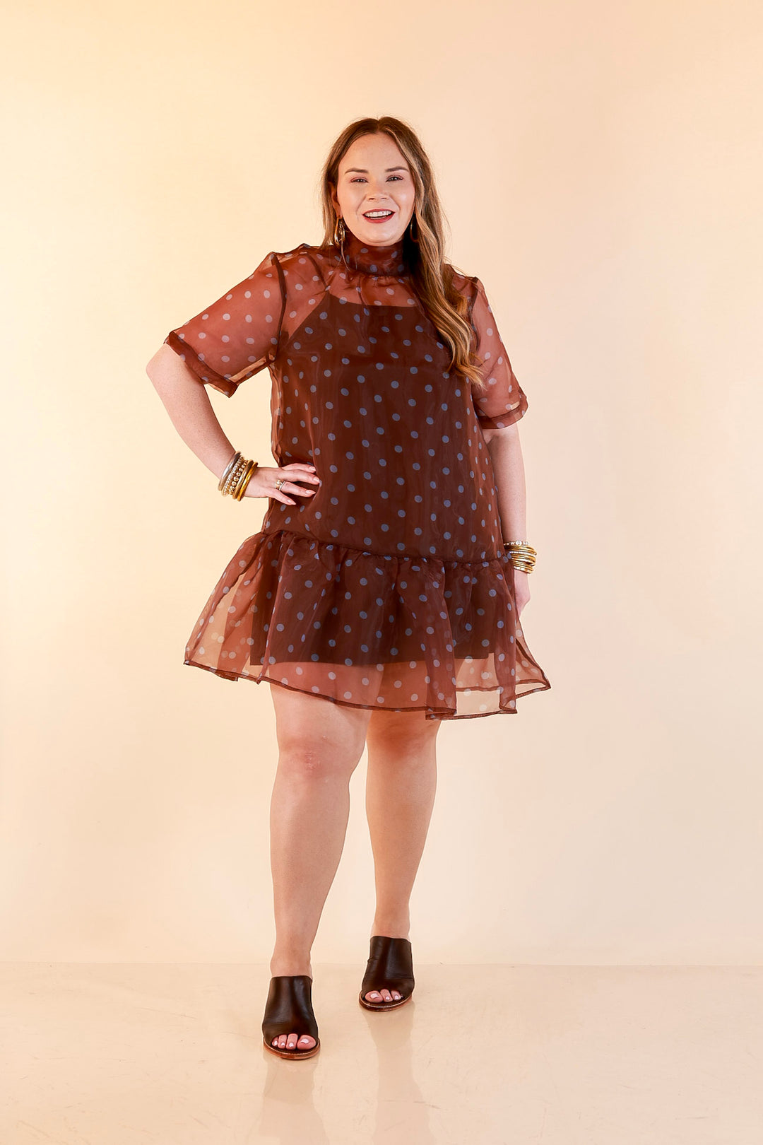 Sheer Delight Polka Dot Organza Ruffle Hem Dress in Chocolate Brown and Blue