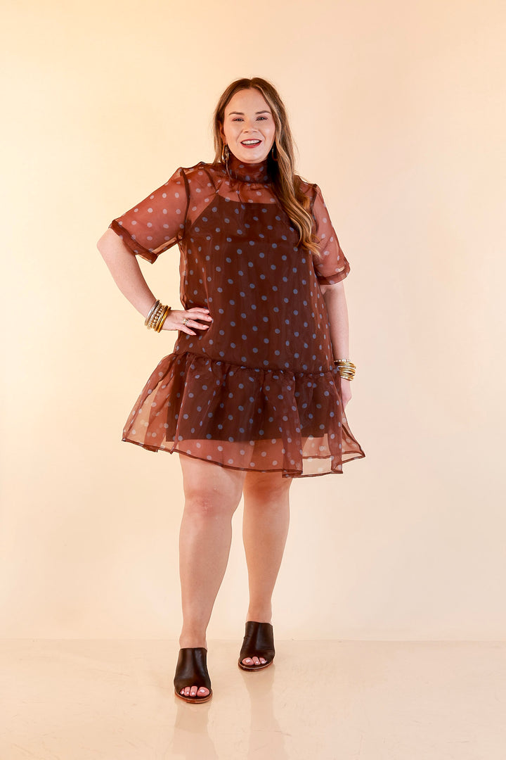 Sheer Delight Polka Dot Organza Ruffle Hem Dress in Chocolate Brown and Blue