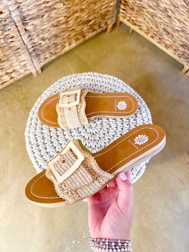 Yellow Box | Hamlyn Raffia Buckle Slide Sandals in Natural