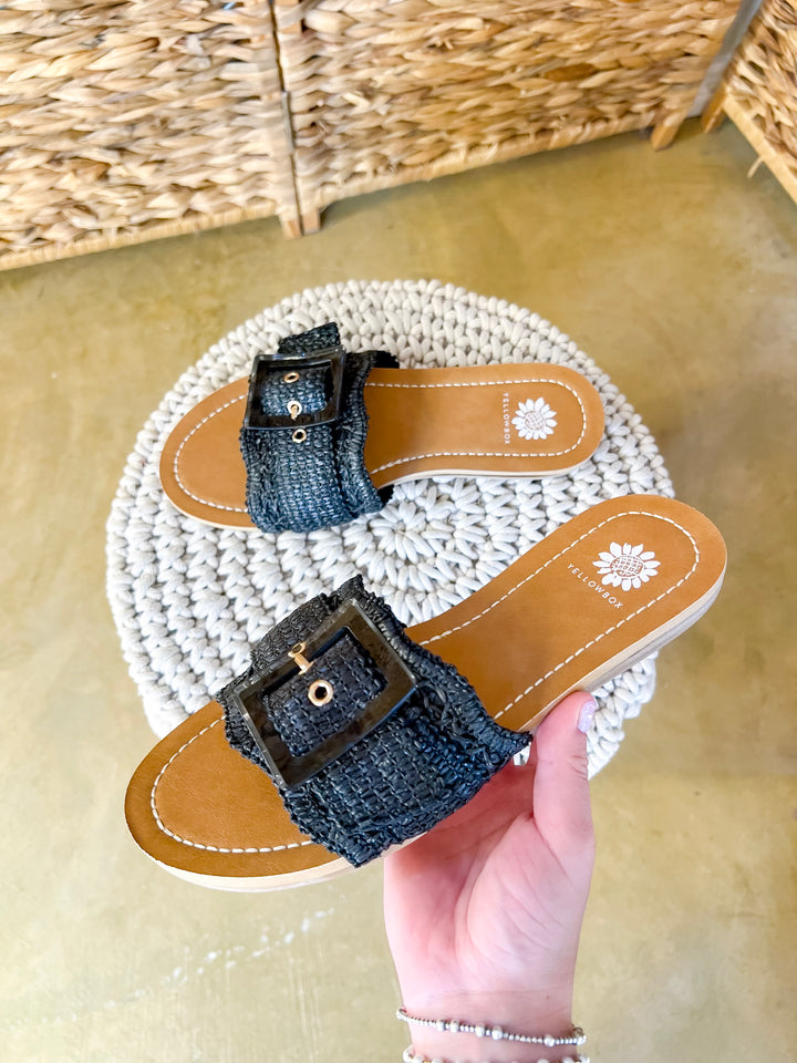 Yellow Box | Hamlyn Raffia Buckle Slide Sandals in Black