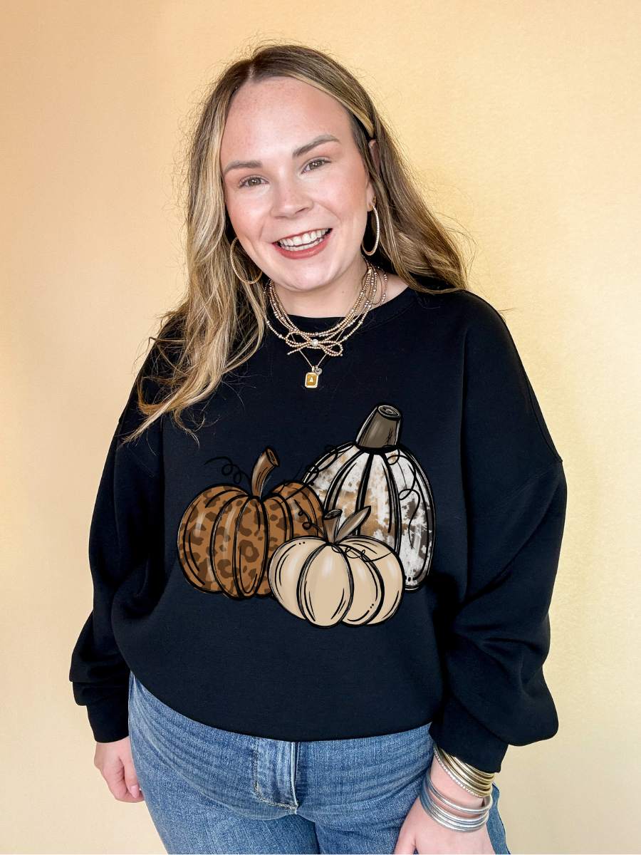 Online Exclusive | Trio Fall Variety Pumpkins Graphic Sweatshirt in Multiple Color Options