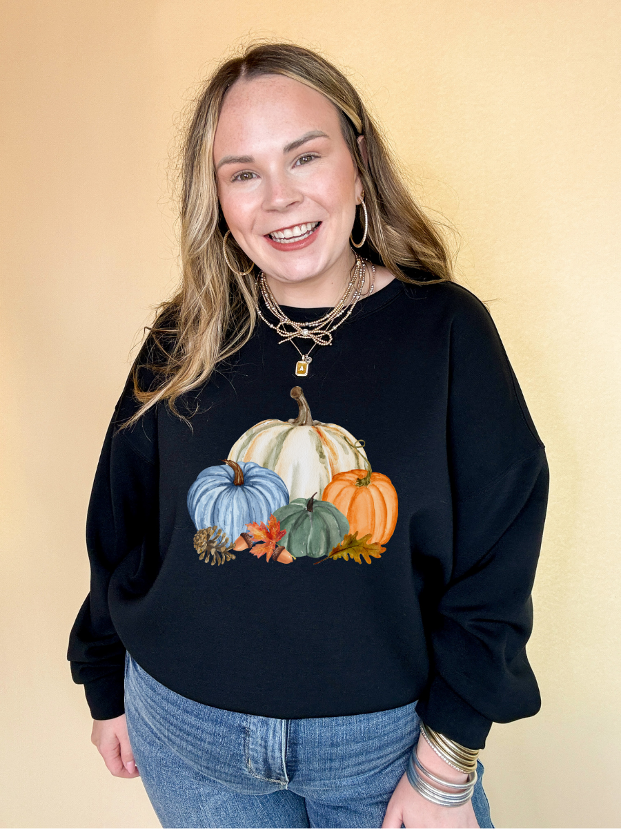 Online Exclusive | Country Pumpkin Arrangement of Four Colored Pumpkins Graphic Sweatshirt in Multiple Color Options