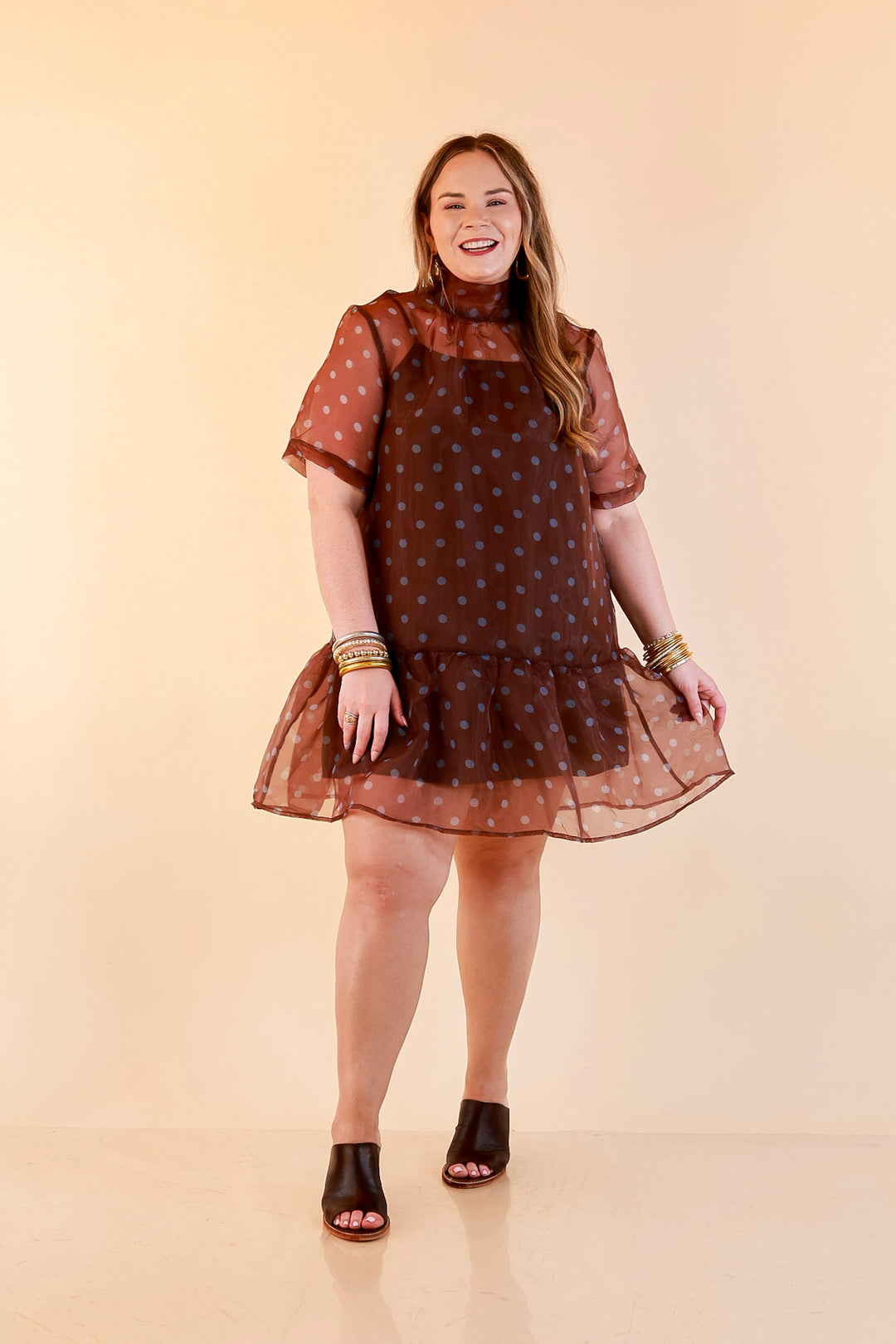Sheer Delight Polka Dot Organza Ruffle Hem Dress in Chocolate Brown and Blue