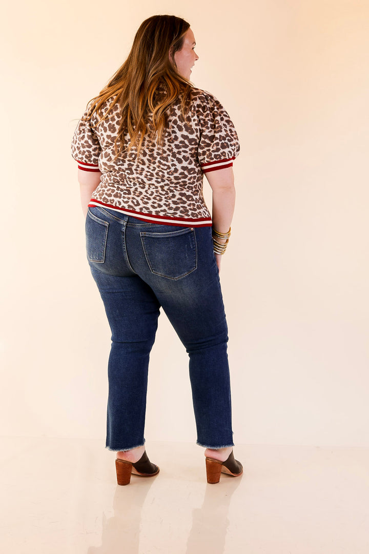 Feline Fine Leopard Print Short Sleeve Sweater with Contrast Trim in Maroon