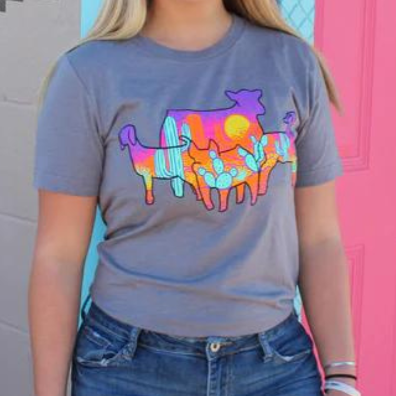 Online Exclusive | Show Stopper Short Sleeve Graphic Tee in Grey - Giddy Up Glamour Boutique