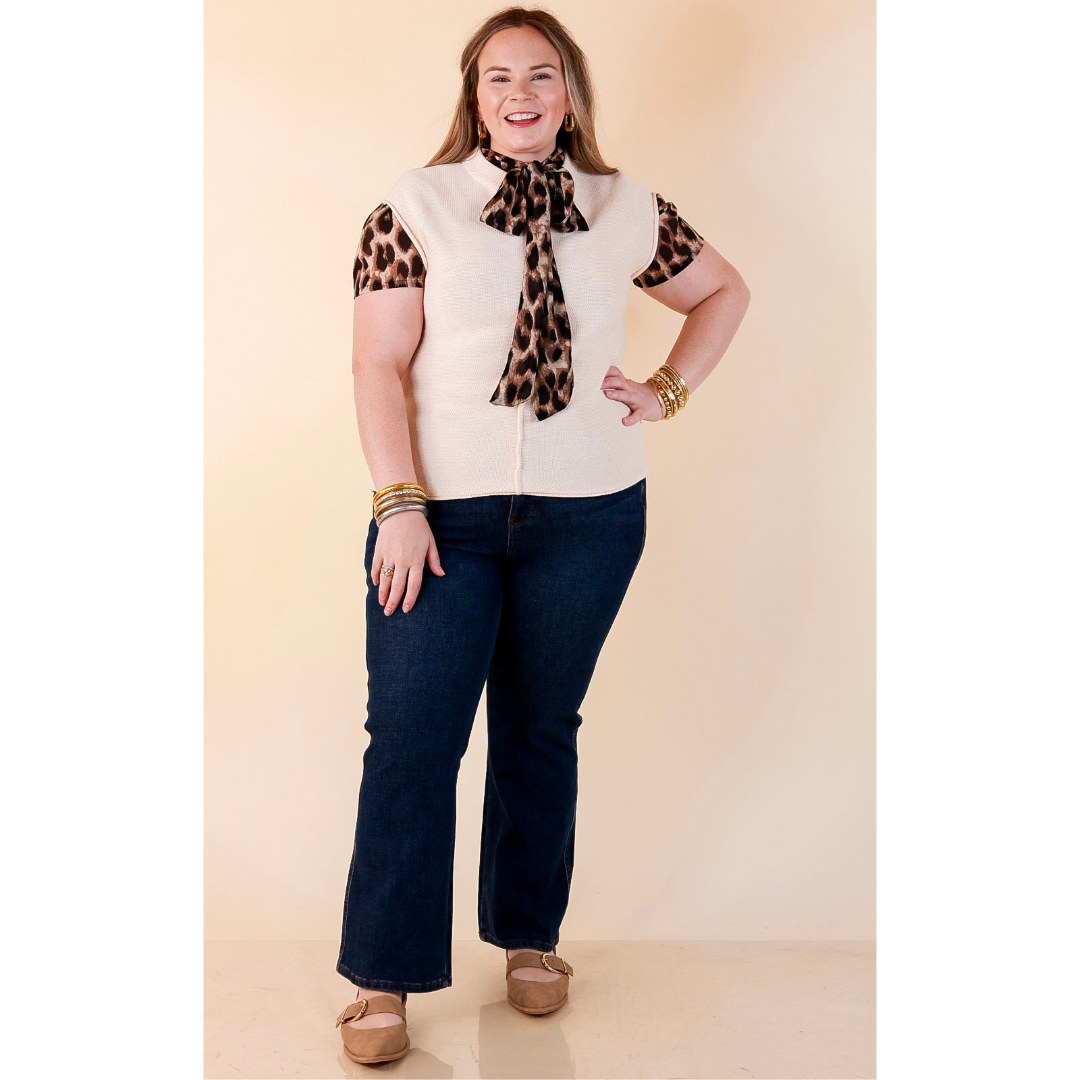 Always a Favorite Crew Neck Front Seam Sweater Knit Top in Ivory