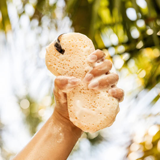 Bridgewater Candle Company | Body Wash Sponge | Sweet Grace