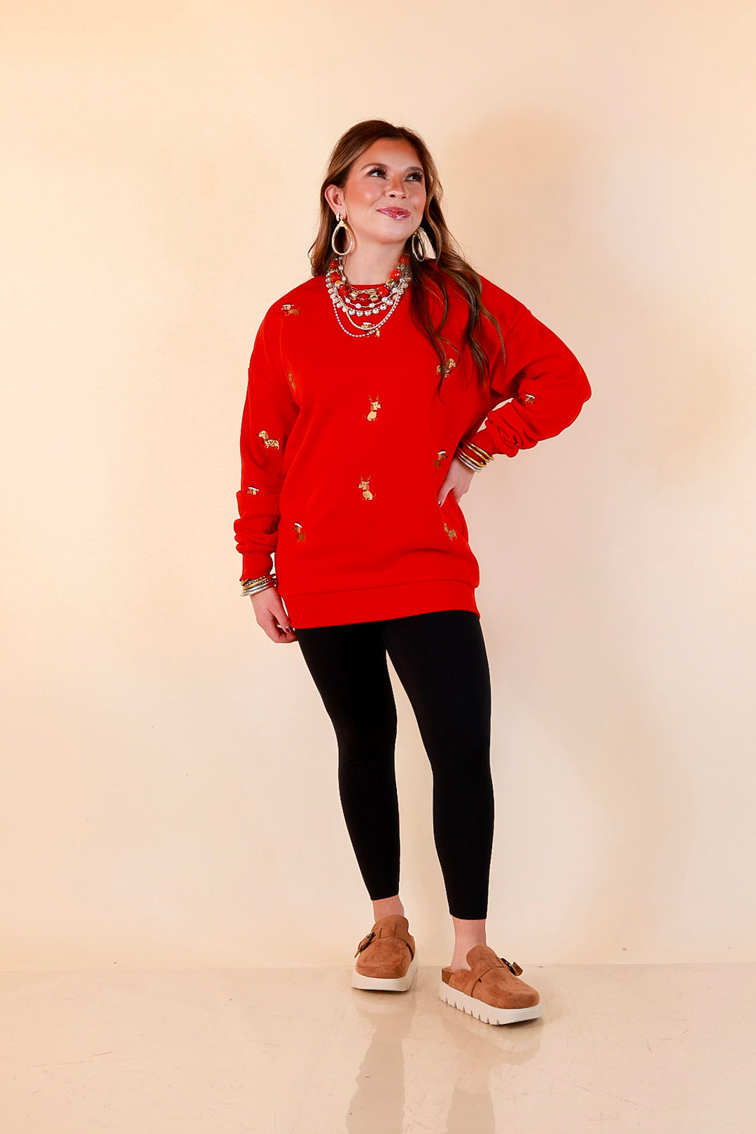 Best in Show Embroidered Dog Sweatshirt in Red