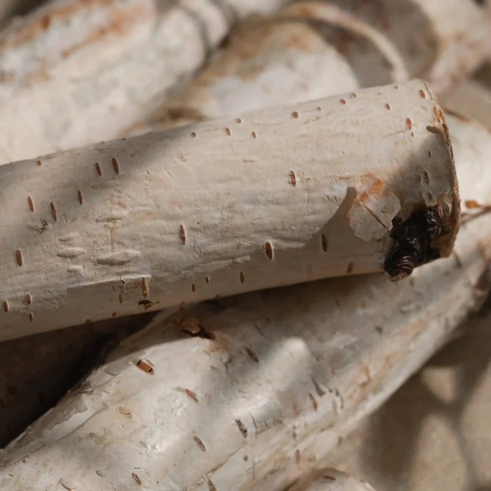 Pura | Fragrance Insert for Car Diffuser Device | Ivory Woods - Giddy Up Glamour Boutique